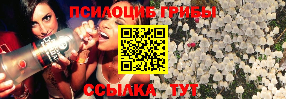 Галлюциногенные грибы мицелий  Галлюциногенные грибы мицелий  Ревда  Вход с VPN 